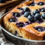 Sweet and Tangy Cottage Cheese Blueberry Bake Recipe