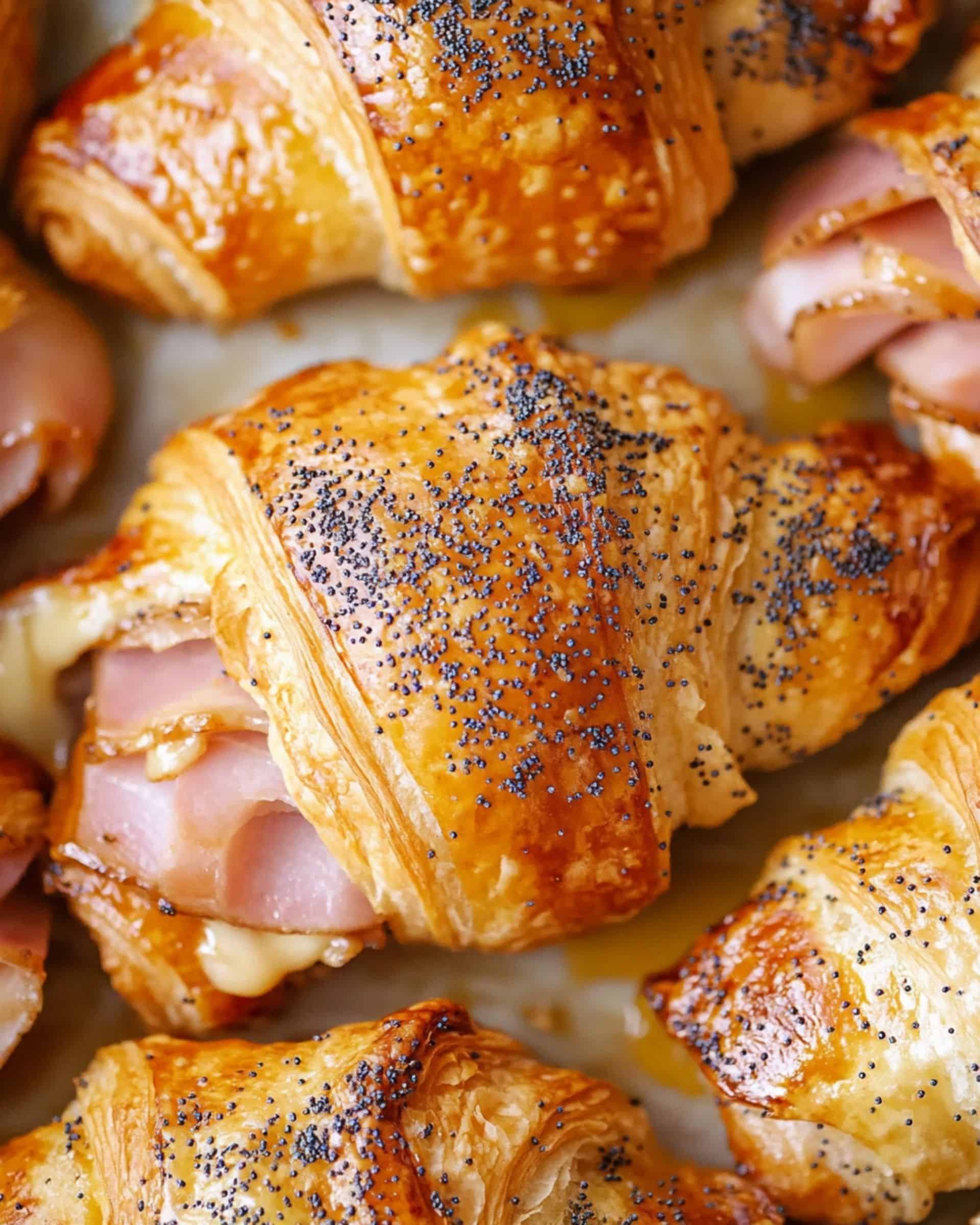 Baked Ham and Cheese Croissants Recipe