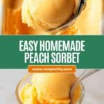 Peach Sorbet Recipe