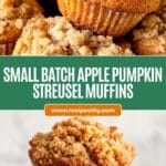Apple Pumpkin Streusel Muffins Recipe