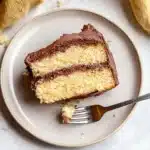 Classic Vanilla Cake Recipe