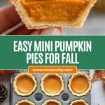 Mini Pumpkin Pies Recipe