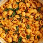 Creamy Vegan Pumpkin Mac and Cheese Recipe