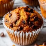 Pumpkin Chocolate Chip Muffins Recipe